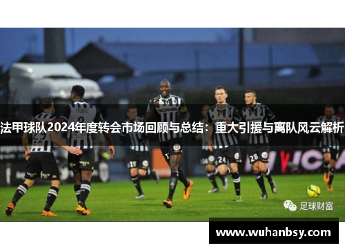 法甲球队2024年度转会市场回顾与总结：重大引援与离队风云解析