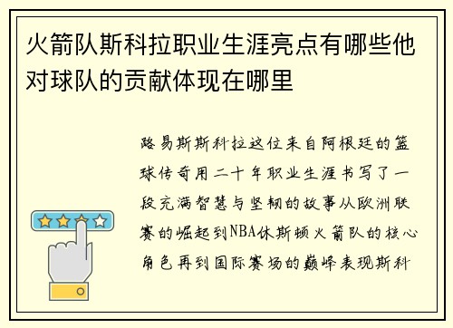 火箭队斯科拉职业生涯亮点有哪些他对球队的贡献体现在哪里